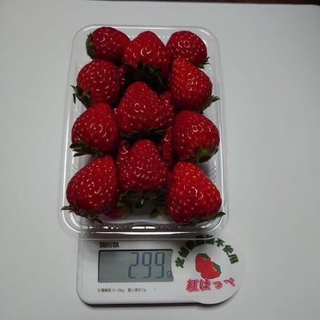 [送料込]甘みと酸味のバランスが抜群 紅ほっぺ(1箱 2パック)【みさをファーム】