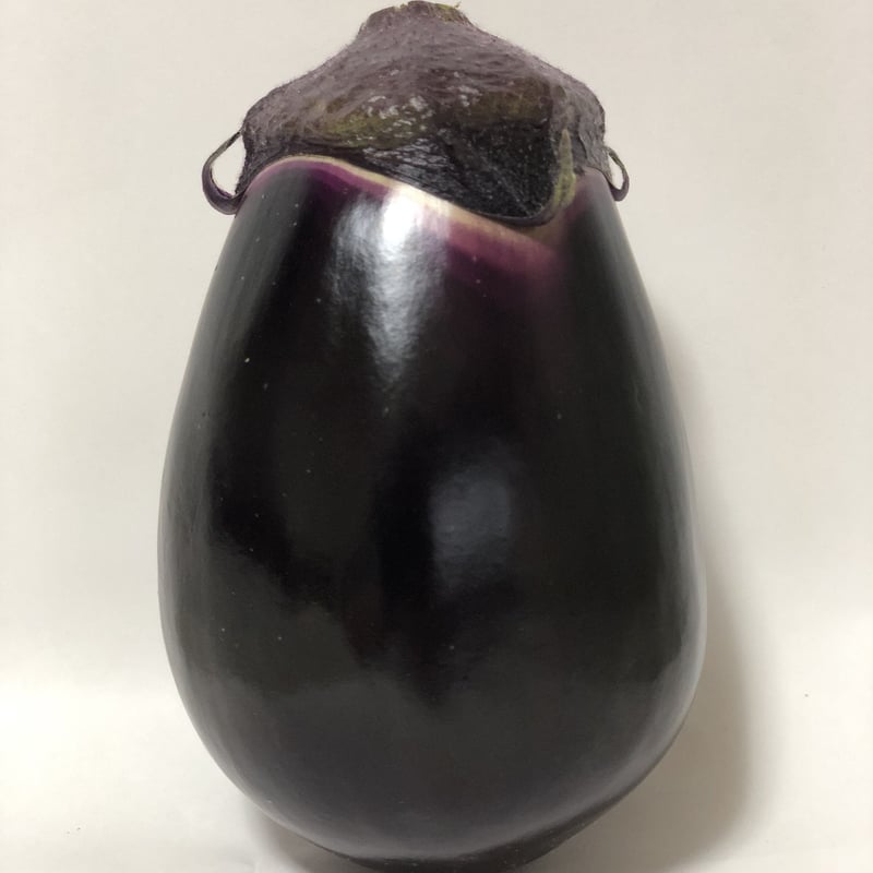 送料込] 農園直送！朝採り極上 生水なす(8個)【三浦農園】 | コネクト