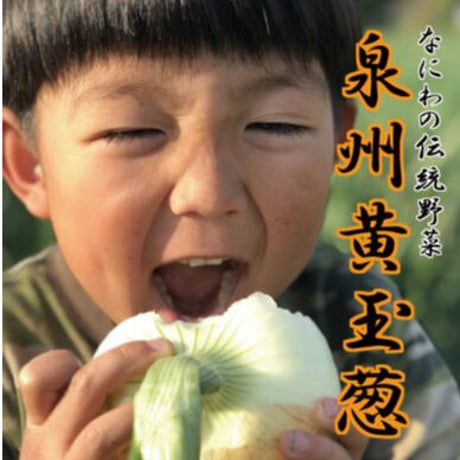 [送料込] なにわの伝統野菜『泉州黄玉葱』(10kg)【三浦農園】