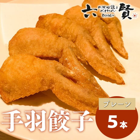 [送料込] 鶏職人の手羽餃子 (5本)【六賢】