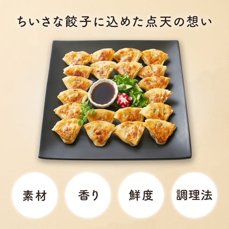 [送料込] 大阪土産の定番「ひとくち餃子」(30個×2箱)【点天】