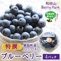 [送料込]産地直送！特撰ブルーベリープレミアム(4パック)【和田山Berrypark】