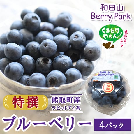 [送料込]産地直送！特撰ブルーベリープレミアム(4パック)【和田山Berrypark】