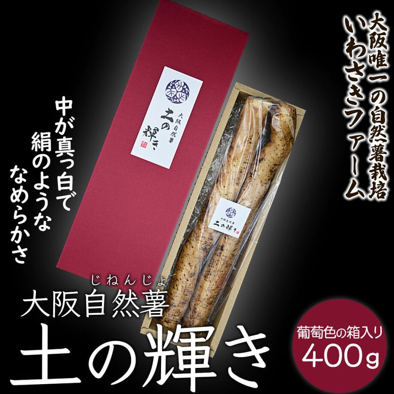 送料込]大阪自然薯「土の輝き」葡萄色の箱入り 大阪府熊取町産自然薯