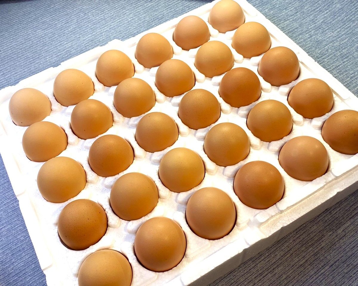 送料込]能勢おうはんのたまご(30個)【小谷養鶏場】 | コネクト大阪 