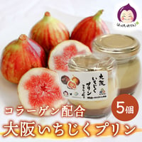 [送料込][予約販売]大阪いちじくプリン(5個)【はっぴいおかん】