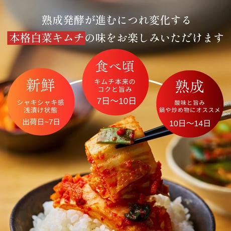 [送料込]白菜キムチとカクテキ(大根キムチ)1kg(500g×2パック)【白雲台】