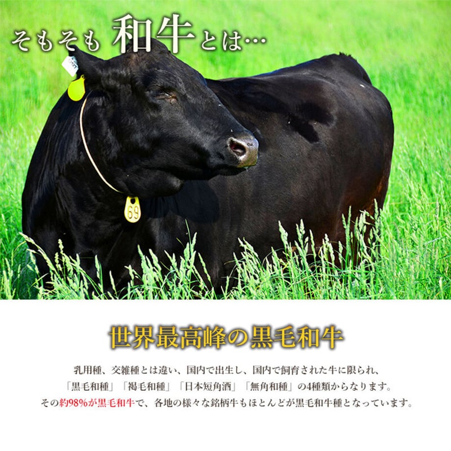 5f64e1c0b5b1085c61a16afa