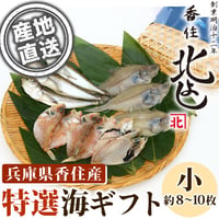 [送料込]特選！香住の海ギフト「人気の干物詰め合わせ(小)」(8～10枚)【香住北よし】