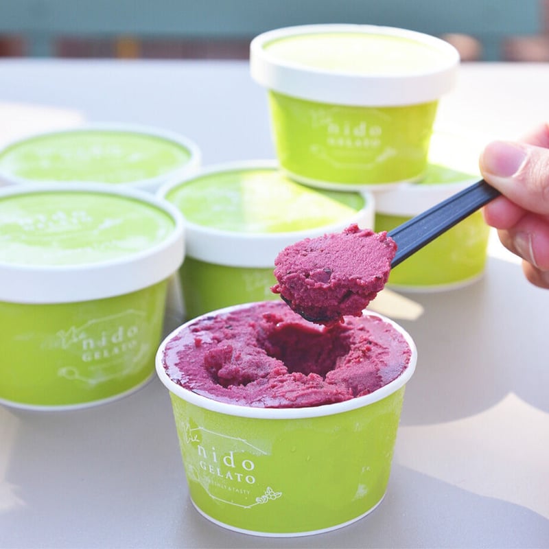 送料込]熊取産ブルーベリー使用「Nido GELATO」ソルベ＆ジェラート(2種
