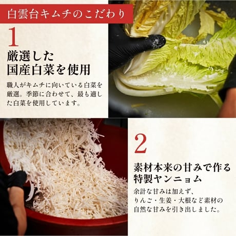 [送料込]白菜キムチとカクテキ(大根キムチ)1kg(500g×2パック)【白雲台】