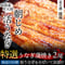 [送料込]朝じめ活鰻 特選(2尾)【炭火焼 寝床】