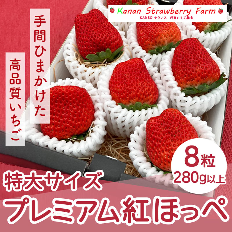 送料込]プレミアムイチゴ (特大サイズ) 紅ほっぺ(8粒(280g以上))【河南