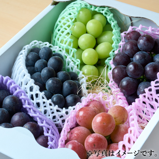 ぶどう農園直送⚠️さま用　vuvvセット 送料込]8月上旬発送開始！早生ぶどうセット(2房)【あさつゆ 愛の