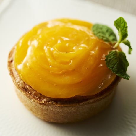 [送料込]フラワーキッシュ「サマーセット」(4種)【FlowerQuiche】