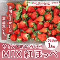 [送料込] 収穫記念価格 MIX（サイズ、形いろいろ）紅ほっぺ（1kg）【河南いちご農場】