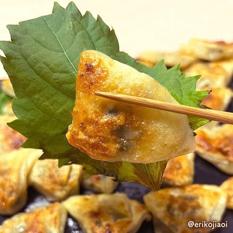 [送料込] 大阪土産の定番「ひとくち餃子」(30個×2箱)【点天】