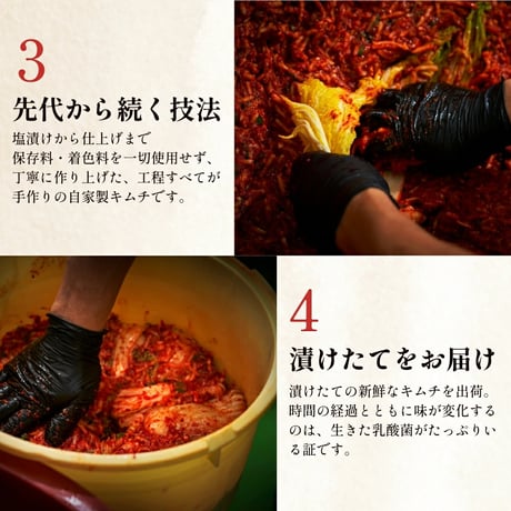 [送料込]白菜キムチとカクテキ(大根キムチ)1kg(500g×2パック)【白雲台】