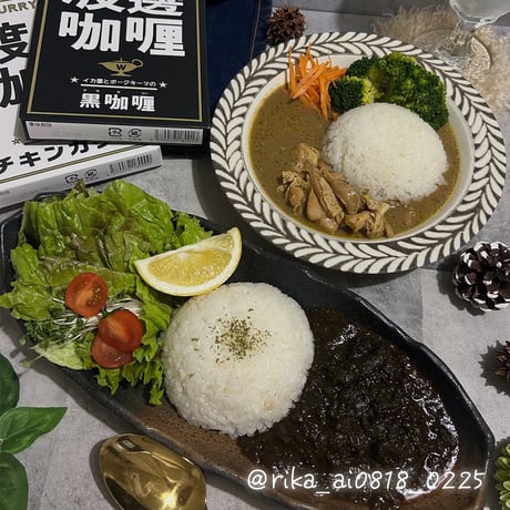 [送料込]ワタナベカリー チキンカリー&黒カリーのセット(2種 計6個) 【渡邊咖喱】