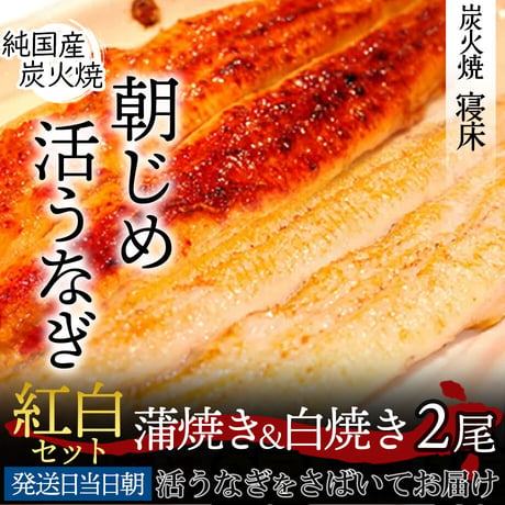 [送料込]朝じめ活鰻 紅白セット(蒲焼&白焼)【炭火焼 寝床】