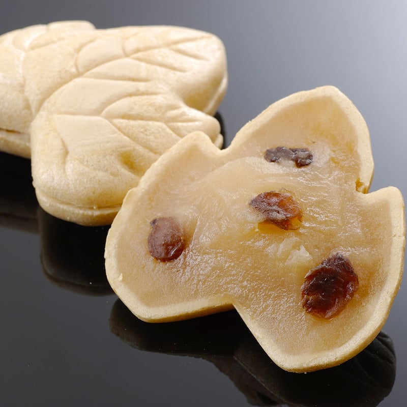 送料込] 大阪産(もん）名品 風土銘菓 河内もなか（10個）【かつら屋