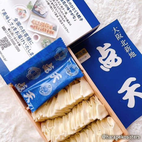 [送料込] 大阪土産の定番「ひとくち餃子」(30個×2箱)【点天】