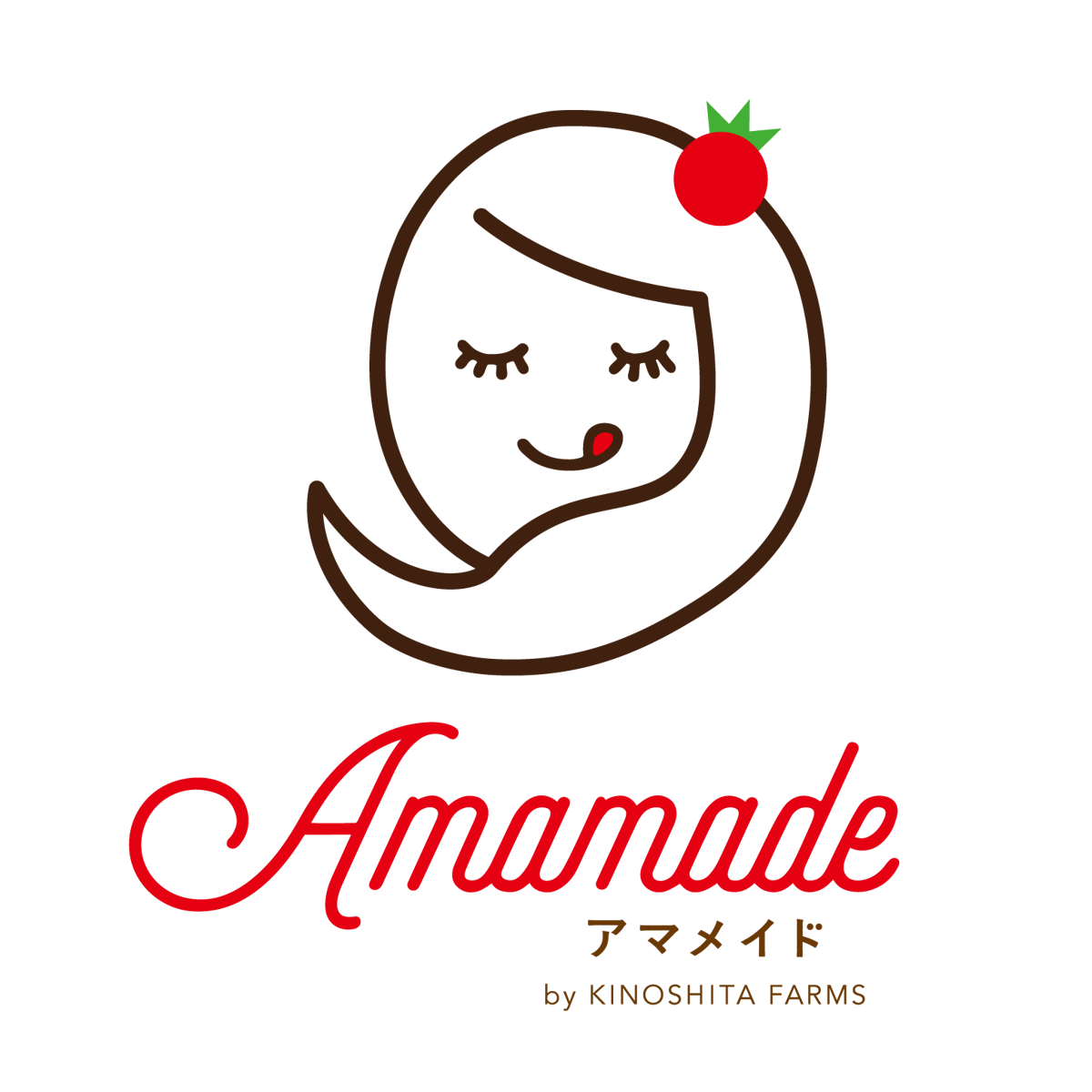 送料込]通年糖度8度以上！ブランドミニトマト「アマメイド」3kg