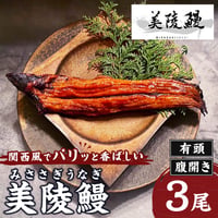 [送料込] <大阪産>パリッと香ばしい美陵鰻 有頭 腹開き(関西焼き) (3尾)【れいわ水産】