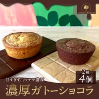 [送料込] 濃厚ガトーショコラ2種(計4個)【CHOCO FOREST】