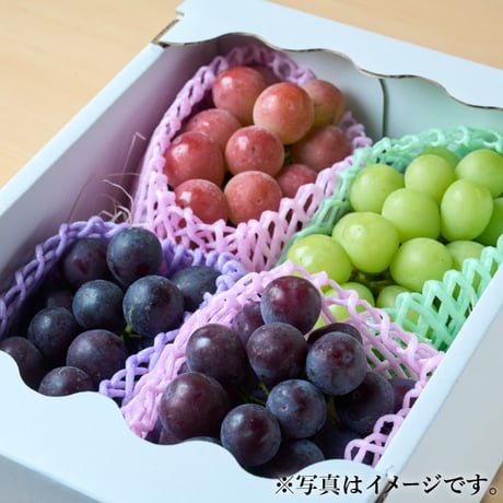 [送料込] 8月中旬発送開始！厳選朝採りぶどう詰め合わせセット【田中ぶどう園】