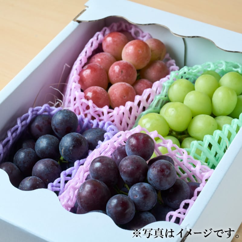 送料込] 厳選朝採りぶどう詰め合わせセット【田中ぶどう園
