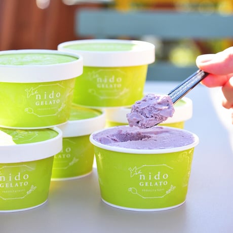 [送料込]熊取産ブルーベリー使用「Nido GELATO」ソルベ＆ジェラート(2種 計6個)【Humming Fields】