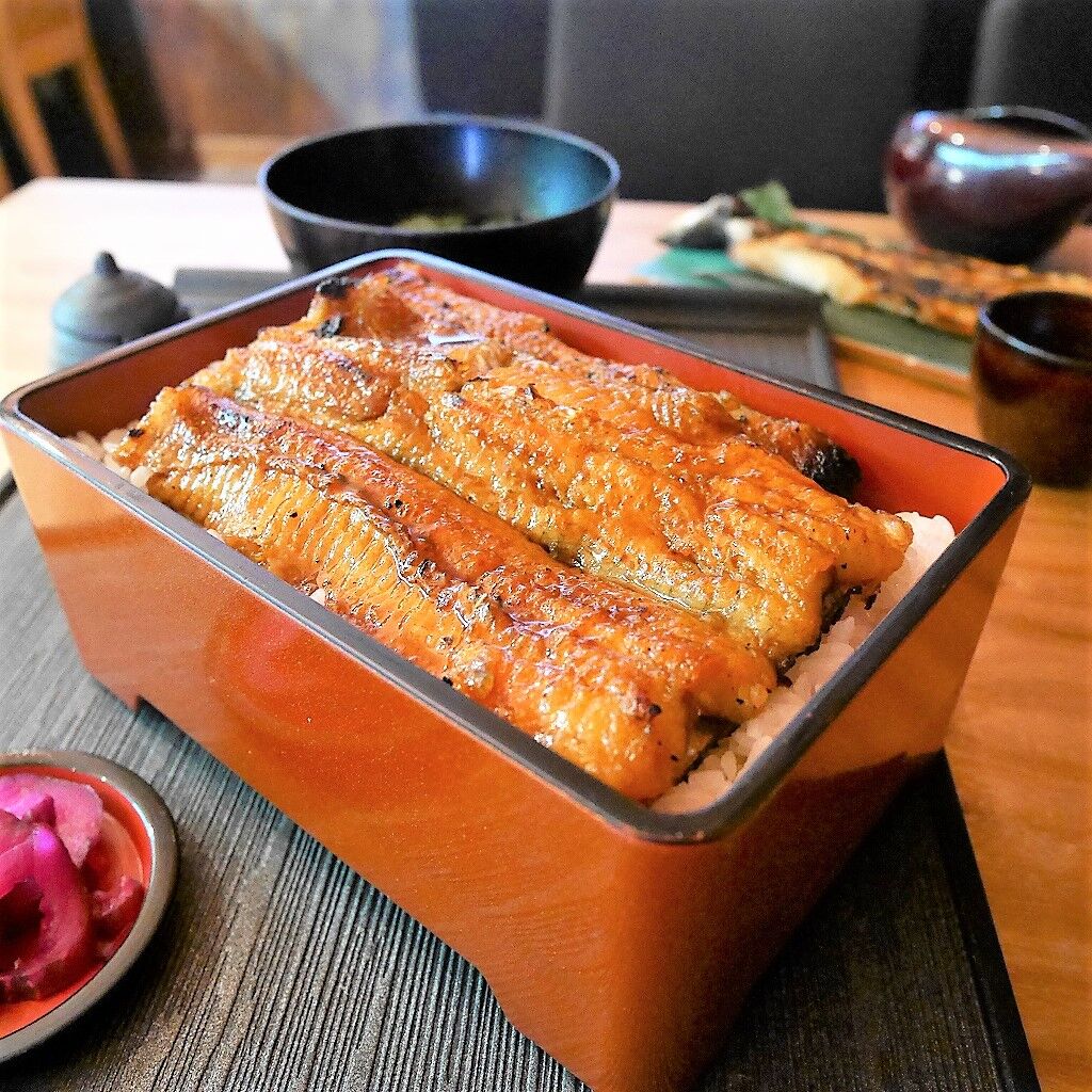 送料込]朝じめ活鰻 特選(2尾)【炭火焼 寝床】 | コネクト大阪｜大阪の