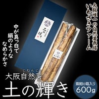 [送料込]大阪自然薯「土の輝き」紫紺の箱入り 大阪府熊取町産自然薯(600g)【いわさきファーム】