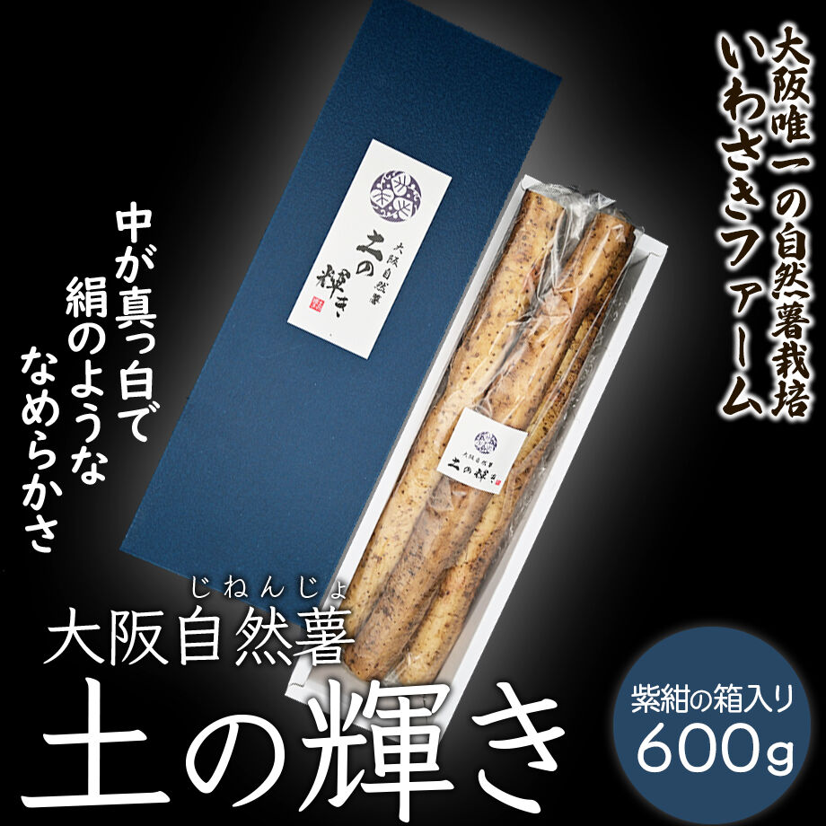 送料込]大阪自然薯「土の輝き」紫紺の箱入り 大阪府熊取町産自然薯