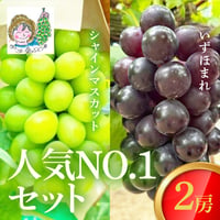[送料込]8月下旬発送開始！人気NO.1セット(いずほまれ・シャインマスカット 2房)【あさつゆ 愛のぶどう園】