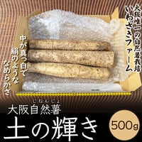 [送料込]泉南郡熊取町産自然薯「土の輝き」(ご自宅用) (500g)【いわさきファーム】