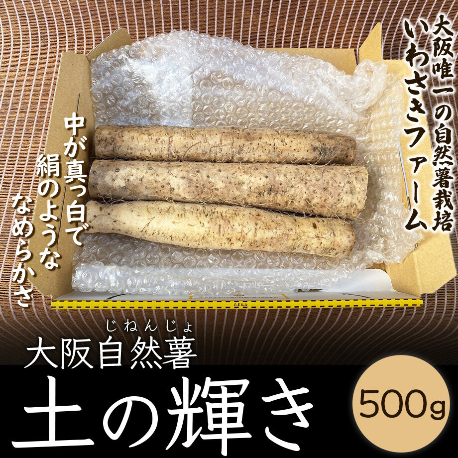 送料込]泉南郡熊取町産自然薯「土の輝き」(ご自宅用) (500g)【いわさき