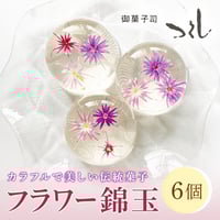 [送料込] カラフルで美しい伝統菓子 フラワー錦玉(6個)【御菓子司つくし】