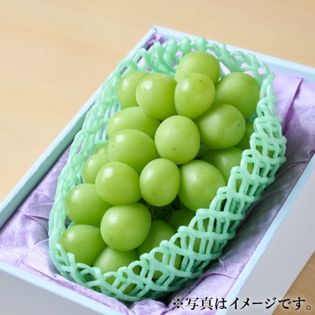 [送料込]  8月中旬発送開始！厳選朝採りシャインマスカット【田中ぶどう園】