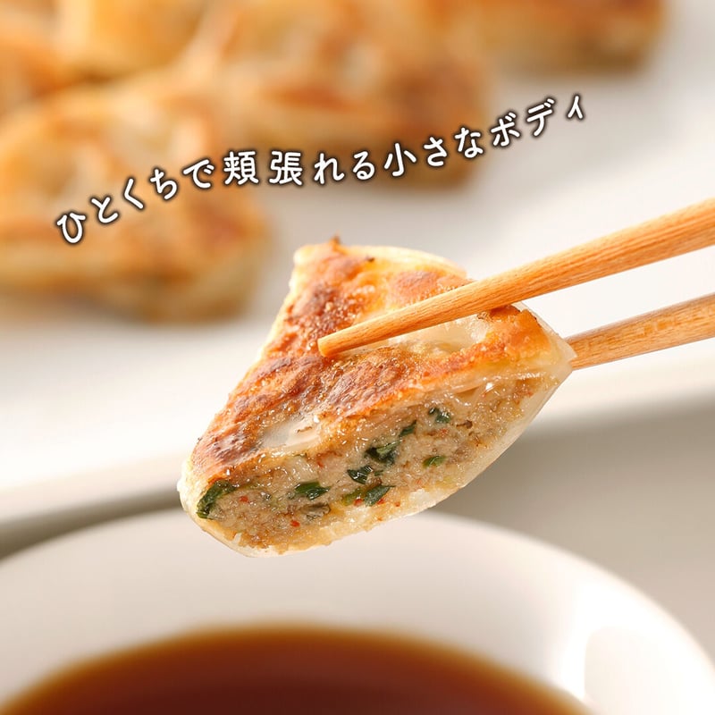 送料込] 大阪土産の定番「ひとくち餃子」(30個×2箱)【点天