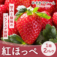 [送料込]甘みと酸味のバランスが抜群 紅ほっぺ(1箱 2パック)【みさをファーム】