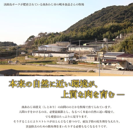 [送料込]<ギフトBOX>【限定価格】淡路島ポークしゃぶしゃぶ(2人前)【志可゛（しが）】