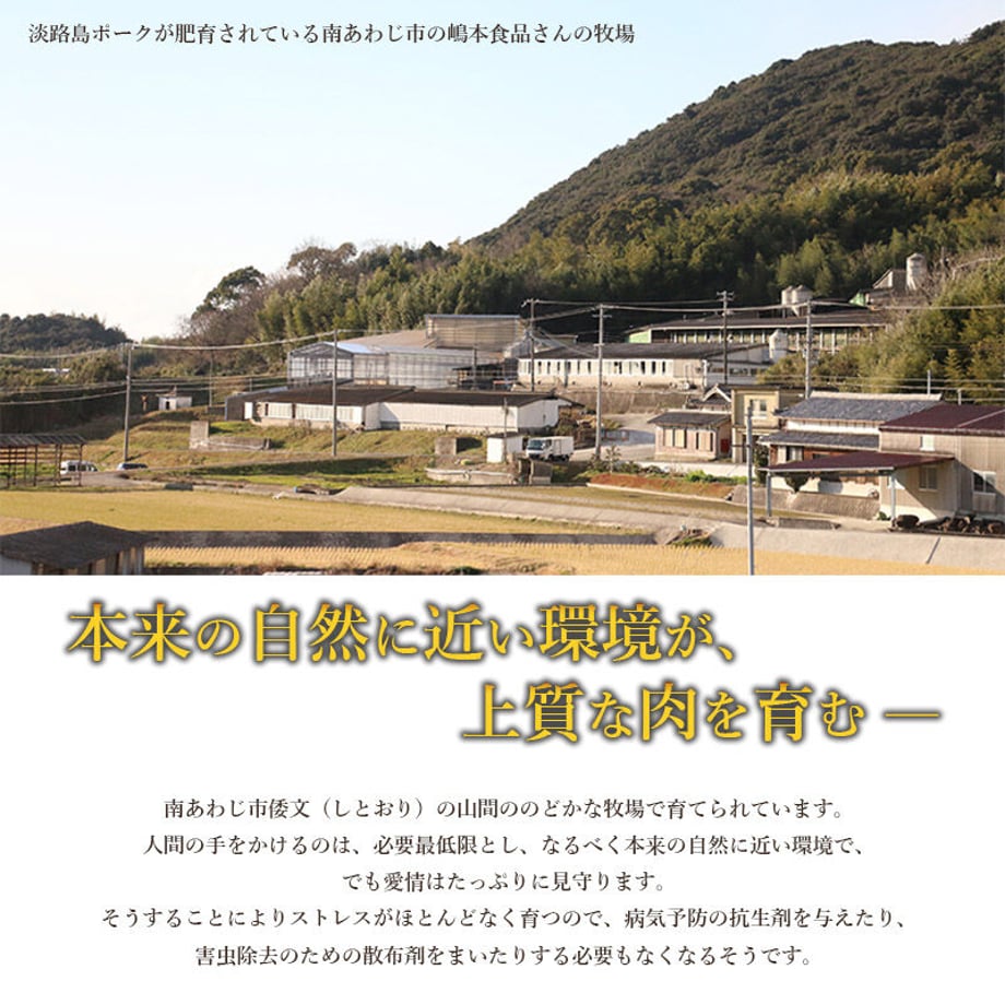 6051c7949dbfee5e38be8840
