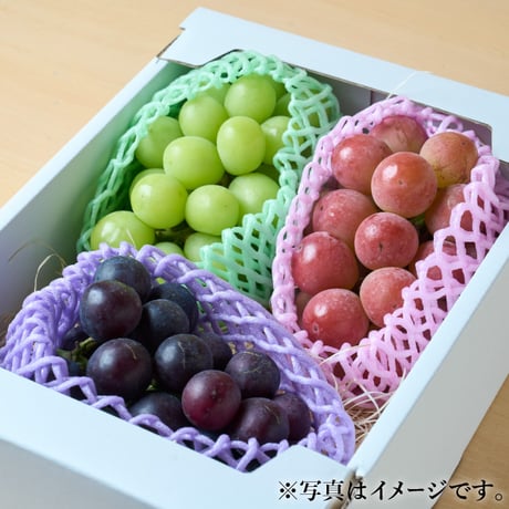 [送料込] 8月中旬発送開始！厳選朝採りぶどう詰め合わせセット【田中ぶどう園】