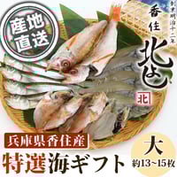 [送料込]特選！香住の海ギフト「人気の干物詰め合わせ(大)」(約13～15枚)【香住北よし】