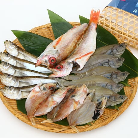 [送料込]特選！香住の海ギフト「人気の干物詰め合わせ(大)」(約13～15枚)【香住北よし】