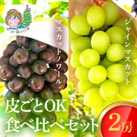 [送料込]8月下旬発送開始！皮ごとOKぶどう食べ比べセット(マスカットノワール・シャインマスカット 2房)【あさつゆ 愛のぶどう園】