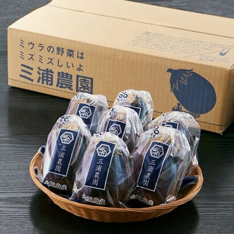 [送料込] 泉州水なす 生水なす お中元 ギフト (8個)【三浦農園】