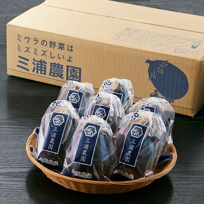 浦和のうなこさん専用★３ Amazon.co.jp: 浦和うなこちゃん ぬいぐるみ さいたま市 ゆる